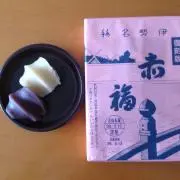 R21A/Bの画像