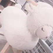 もるぺこの画像