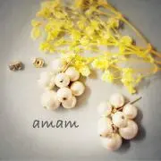 amamの画像