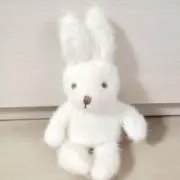 しーなの画像