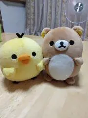Mayujinの画像