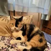 うさこ100%の画像