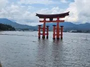 みーの画像