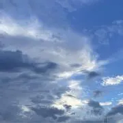 漣の画像