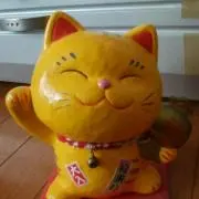 まゆの画像