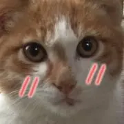Neko