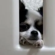 らむ