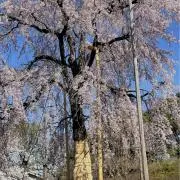 だいさーーん。。