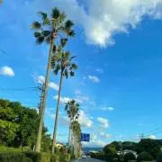 まっちゃラテの画像