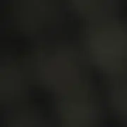 ppp