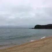 kk88の画像