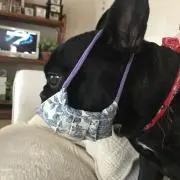 あんちゃんママ