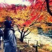 Himaの画像