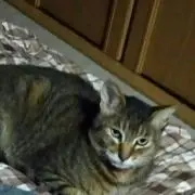 ゆずはママ
