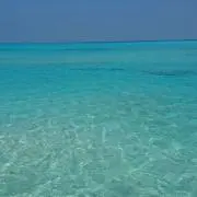 りゃんの画像