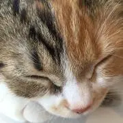 あやかちゃん◎の画像