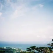 断捨離くんの画像