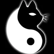 黒猫と白猫ฅ ΦωΦ ฅ