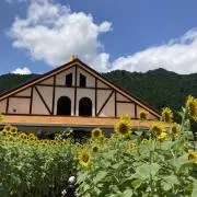鮫船長の画像