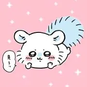 ひまわりの画像