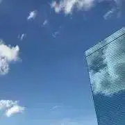 みぞれの画像