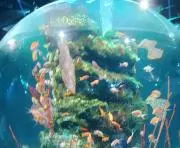 3/28〜4/1発送お休みですもっちゃん