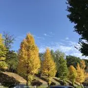 いそあ