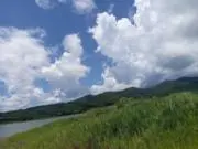 アルパカの画像