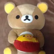 はしぞうの画像