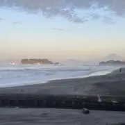 憩いの森の画像