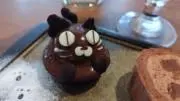 ニナの画像