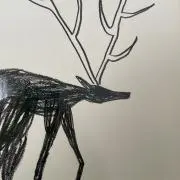 casekの画像