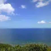 roiの画像