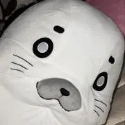 Yuchiの画像