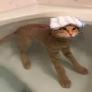 ^^の画像