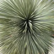 三ノ宮 即購入歓迎