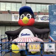 やまちゃん