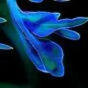 レイリー プロフ必読の画像