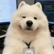 ぐ