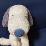 ごまの画像