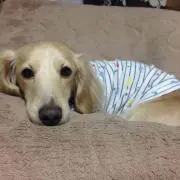 つぅちゃん