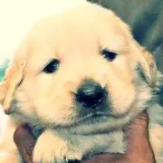 やま