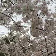 あーちゃんの画像