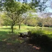 ヒカルの画像