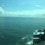 た