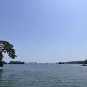 ぽぽの画像