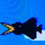 KIRAの画像