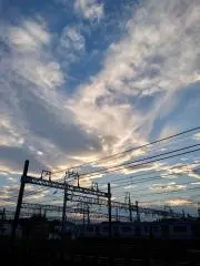 mymの画像