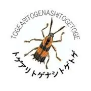 トゲアリトゲナシトゲトゲの画像