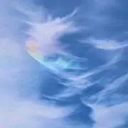 ティム